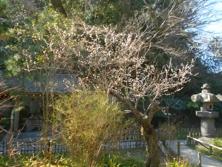 安國論寺(安国論寺)の庭園