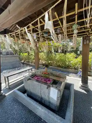 白山神社(新潟県)