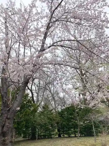 札幌護國神社の自然