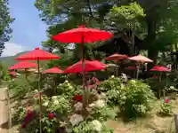 遠照寺(長野県)