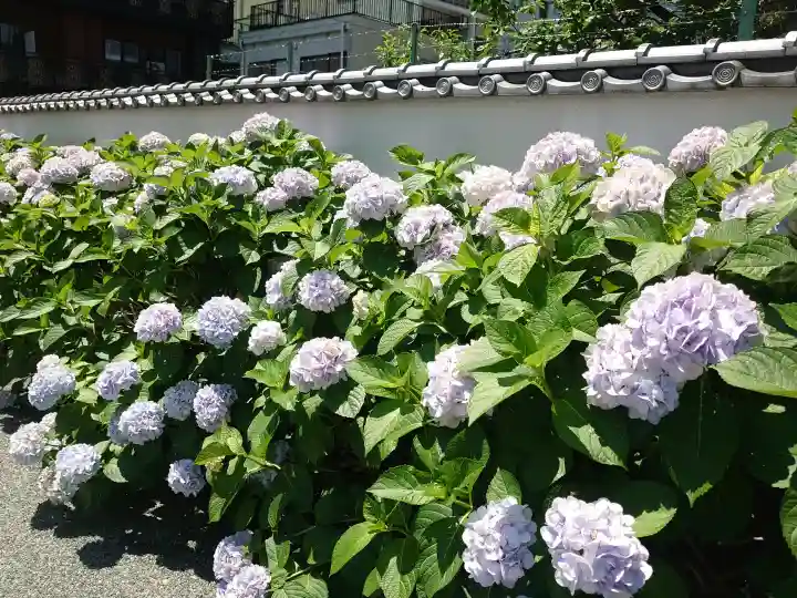 龍宮寺(福岡県)