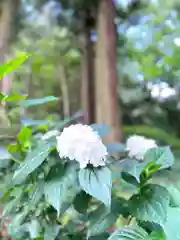 子檀嶺神社(長野県)