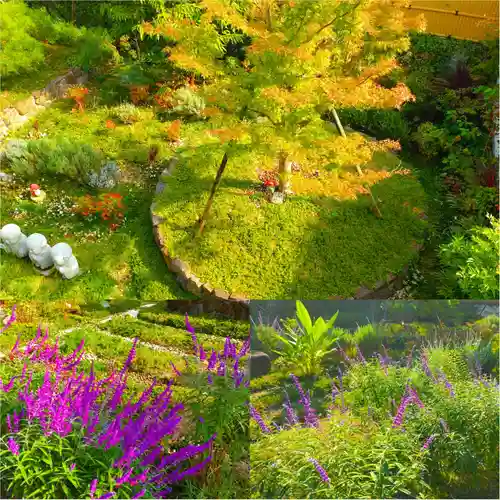 寿量山　速成寺(奈良県)