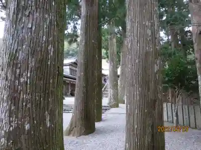 焼山寺(徳島県)