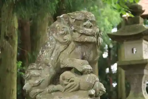 菅布禰神社の狛犬