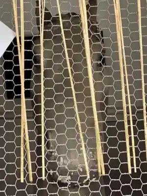 京都ゑびす神社(京都府)