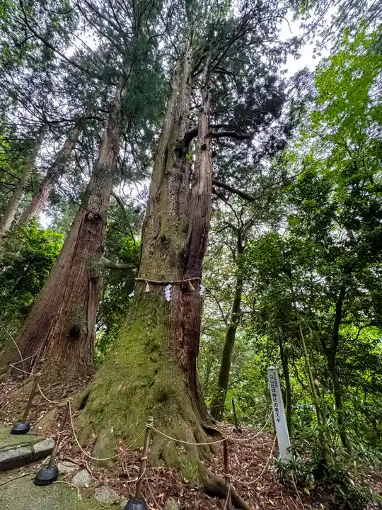 白山比咩神社(石川県)