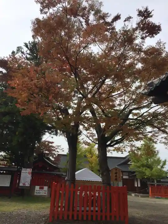 生島足島神社の自然
