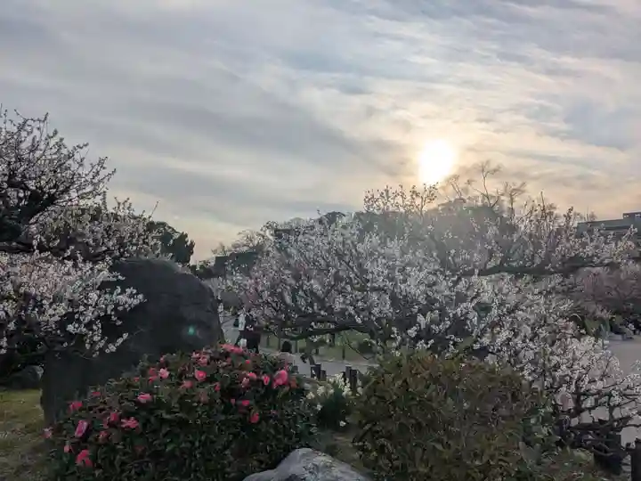 豊國神社(大阪府)