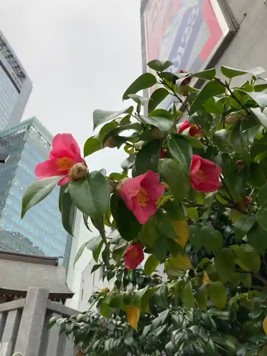 日比谷神社の自然