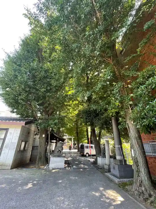 穏田神社の自然
