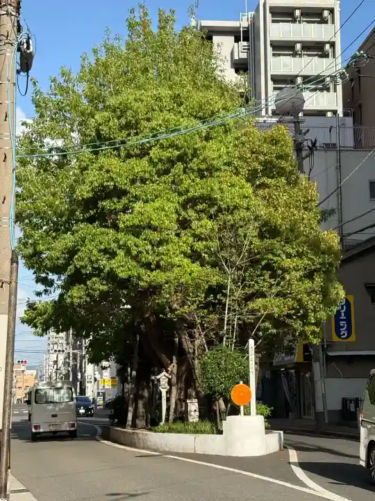 楠木大神の{uncategorized: "未分類", other: "その他", undefined: "問題あり", building: "その他建物", grave: "お墓", sacred_gate: "鳥居", guardian: "狛犬", statue: "像", buddha: "仏像", history: "歴史", nature: "自然", garden: "庭園", animal: "動物", pagoda: "塔", temizu: "手水舎", mountain_gate: "山門・神門", sanctuary: "本殿・本堂", subordinate: "末社・摂社", art: "芸術", scenery: "景色", jizo: "地蔵", ema: "絵馬", goshuin: "御朱印", omikuji: "おみくじ", items: "授与品その他", amulet: "お守り", goshuincho: "御朱印帳", eats: "食事", festival: "お祭り", votive_dance: "神楽", shichigosan: "七五三参", wedding: "結婚式", experience: "体験その他", initially: "初詣", around: "周辺", anti_infection: "感染症対策"}