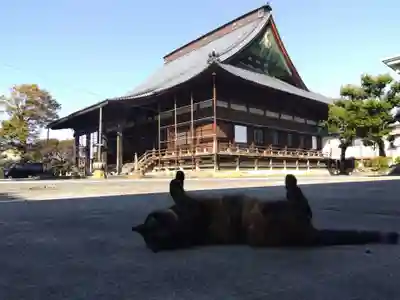正覚寺(福井県)