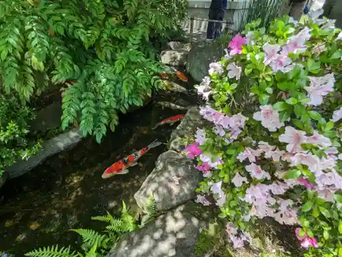 長谷寺(神奈川県)