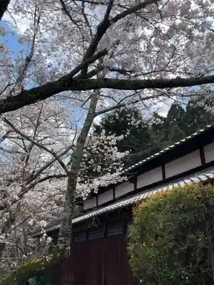 勝持寺（花の寺）(京都府)