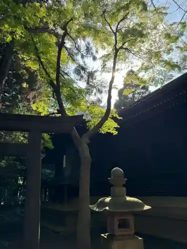 土支田八幡宮の{uncategorized: "未分類", other: "その他", undefined: "問題あり", building: "その他建物", grave: "お墓", sacred_gate: "鳥居", guardian: "狛犬", statue: "像", buddha: "仏像", history: "歴史", nature: "自然", garden: "庭園", animal: "動物", pagoda: "塔", temizu: "手水舎", mountain_gate: "山門・神門", sanctuary: "本殿・本堂", subordinate: "末社・摂社", art: "芸術", scenery: "景色", jizo: "地蔵", ema: "絵馬", goshuin: "御朱印", omikuji: "おみくじ", items: "授与品その他", amulet: "お守り", goshuincho: "御朱印帳", eats: "食事", festival: "お祭り", votive_dance: "神楽", shichigosan: "七五三参", wedding: "結婚式", experience: "体験その他", initially: "初詣", around: "周辺", anti_infection: "感染症対策"}