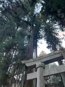大宮温泉神社(栃木県)(2023年02月06日(月) 09時51分39秒投稿)