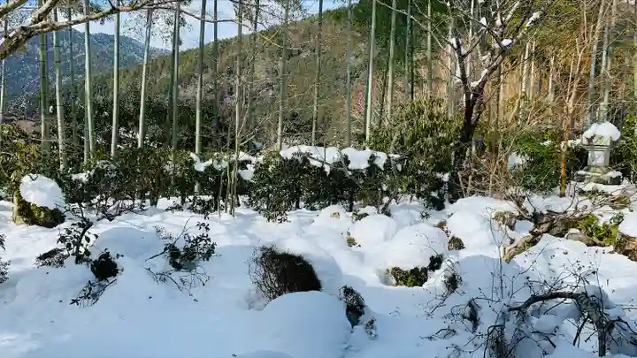 宝泉院(京都府)