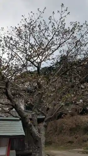 東蓮寺(福岡県)