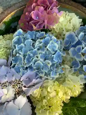 彌都加伎神社の手水舎