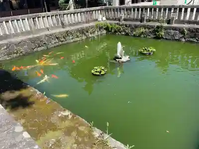 知立神社(愛知県)