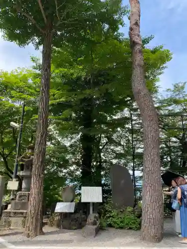 伊香保神社(群馬県)