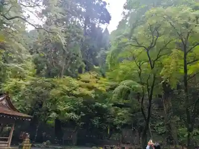 貴船神社奥宮(京都府)