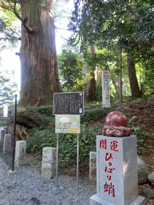 高尾山薬王院の自然