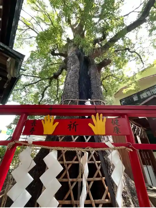 五方山熊野神社(東京都)