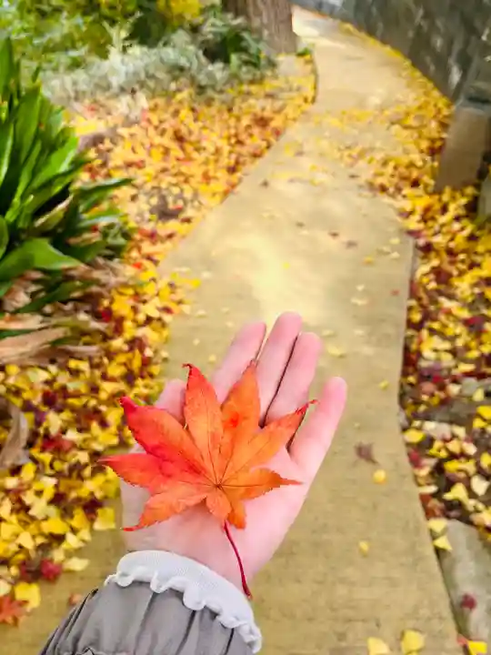 紅葉八幡宮(福岡県)