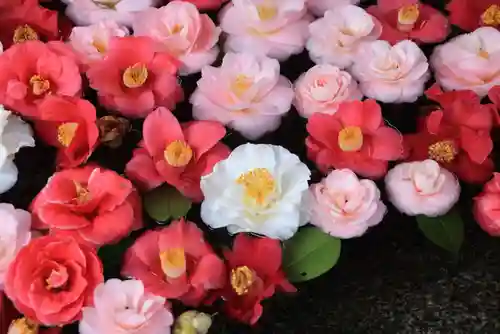 田村神社の手水舎