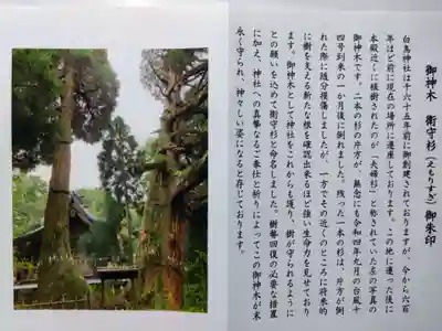 白鳥神社(宮崎県)