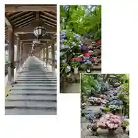 長谷寺(奈良県)