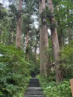 羽黒山五重塔(出羽三山神社)(山形県)