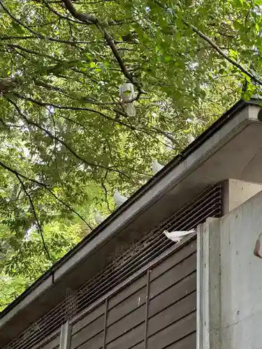 靖國神社(東京都)