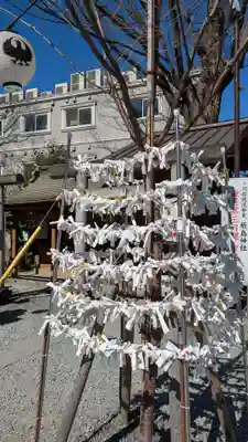 川越熊野神社(埼玉県)