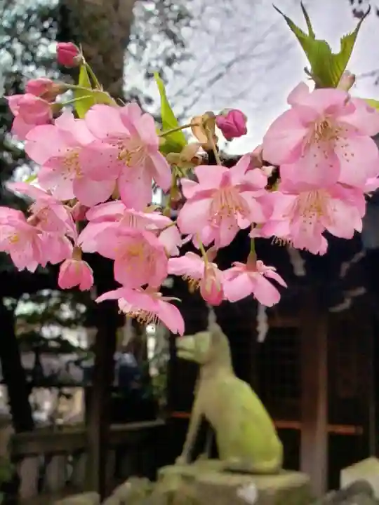 小野照崎神社(東京都)