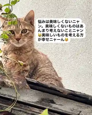 専念寺(大阪府)