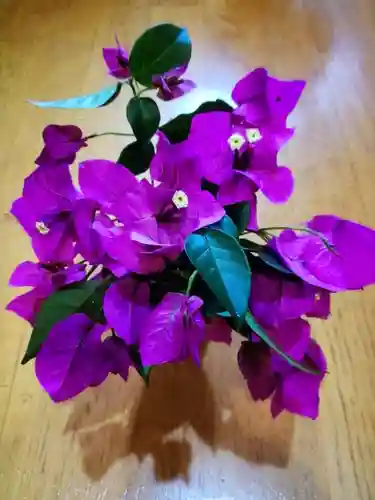 本郷氷川神社(東京都)