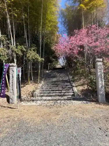 高讃寺の{uncategorized: "未分類", other: "その他", undefined: "問題あり", building: "その他建物", grave: "お墓", sacred_gate: "鳥居", guardian: "狛犬", statue: "像", buddha: "仏像", history: "歴史", nature: "自然", garden: "庭園", animal: "動物", pagoda: "塔", temizu: "手水舎", mountain_gate: "山門・神門", sanctuary: "本殿・本堂", subordinate: "末社・摂社", art: "芸術", scenery: "景色", jizo: "地蔵", ema: "絵馬", goshuin: "御朱印", omikuji: "おみくじ", items: "授与品その他", amulet: "お守り", goshuincho: "御朱印帳", eats: "食事", festival: "お祭り", votive_dance: "神楽", shichigosan: "七五三参", wedding: "結婚式", experience: "体験その他", initially: "初詣", around: "周辺", anti_infection: "感染症対策"}