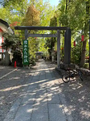 田無神社の鳥居