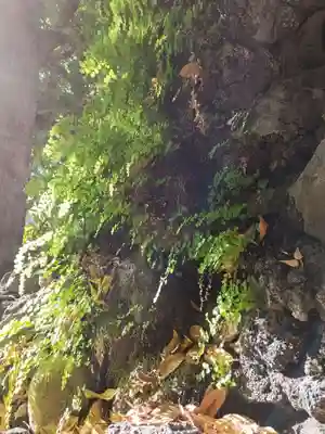 九頭龍権現水神社(東京都)