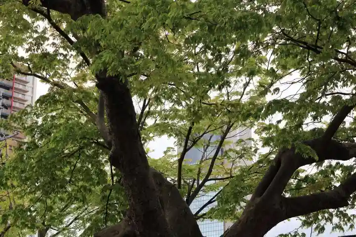 阿邪訶根神社の自然