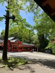 枚聞神社(鹿児島県)