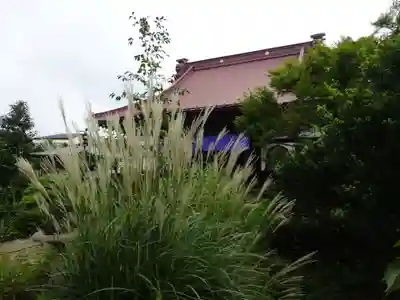 常泉寺の本殿・本堂