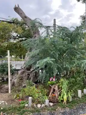 水堂須佐男神社(兵庫県)