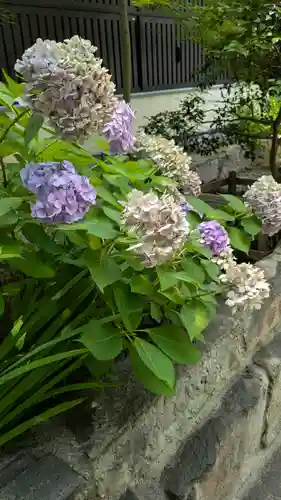 和光寺(大阪府)