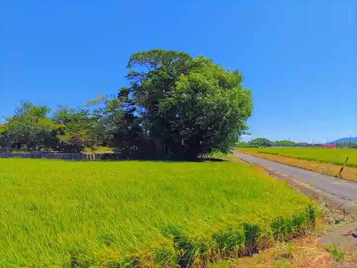嚴島神社(四貫)の自然