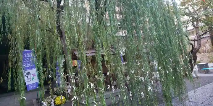 頂法寺(六角堂)のおみくじ