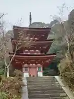 浄瑠璃寺(京都府)